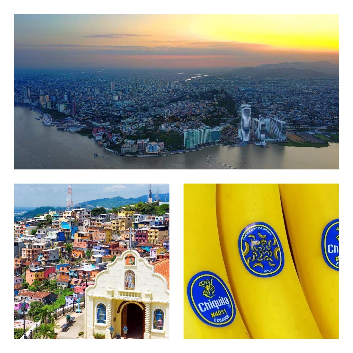 Backpage Ecuador