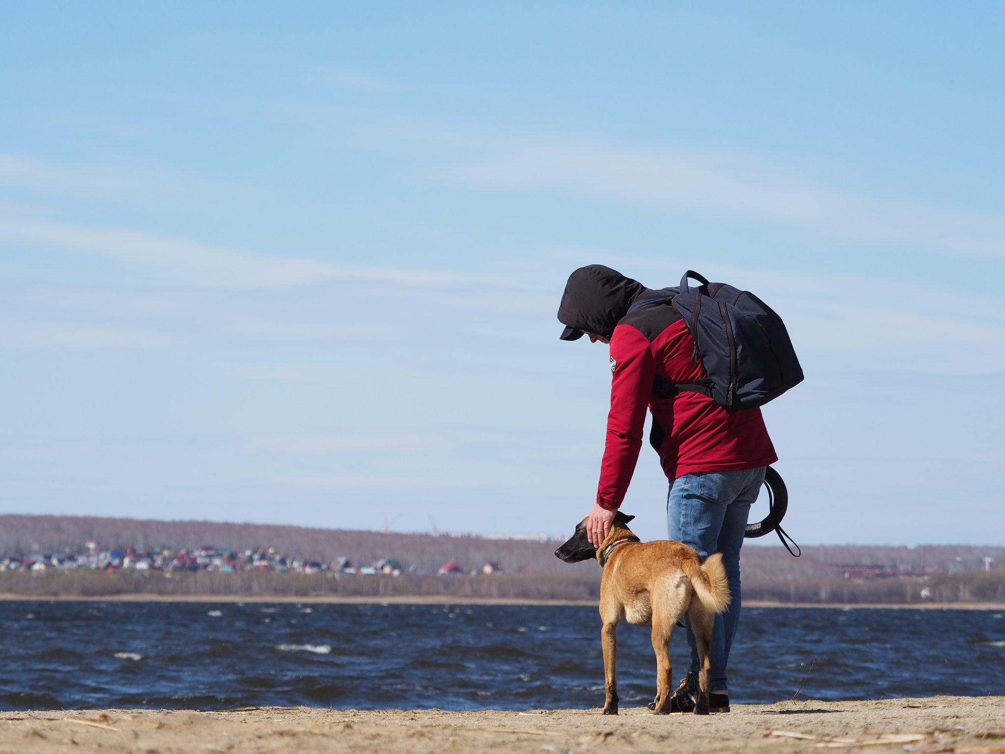 For us they are a page in life, and for them we are the whole life. - My, Dog, Malinois, Longpost, Belgian shepherd