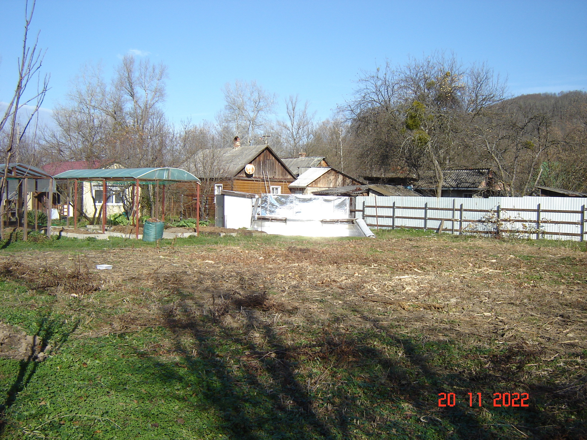 Such a warm November day - My, Tomatoes, Cucumbers, Краснодарский Край, Longpost