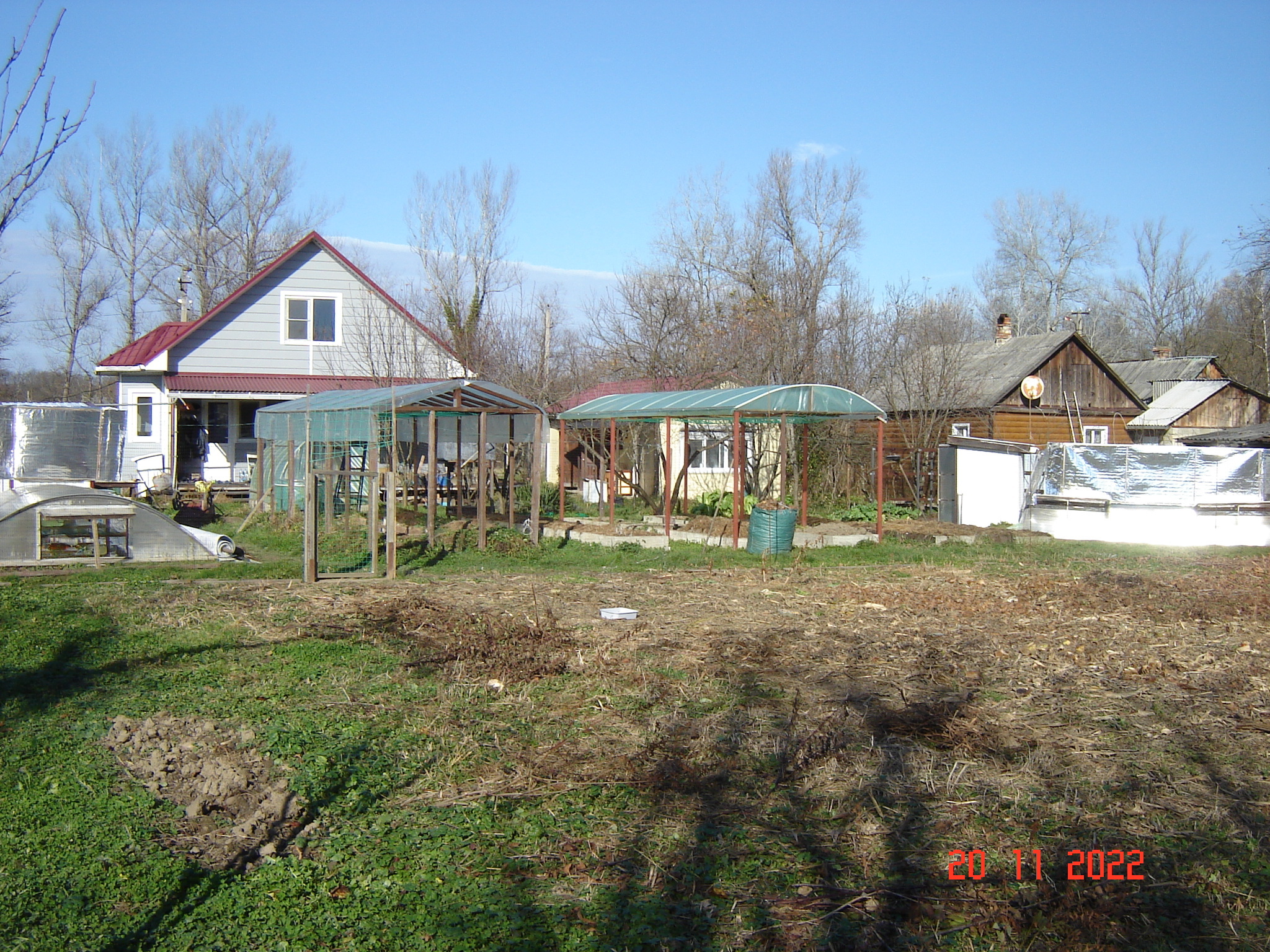 Such a warm November day - My, Tomatoes, Cucumbers, Краснодарский Край, Longpost