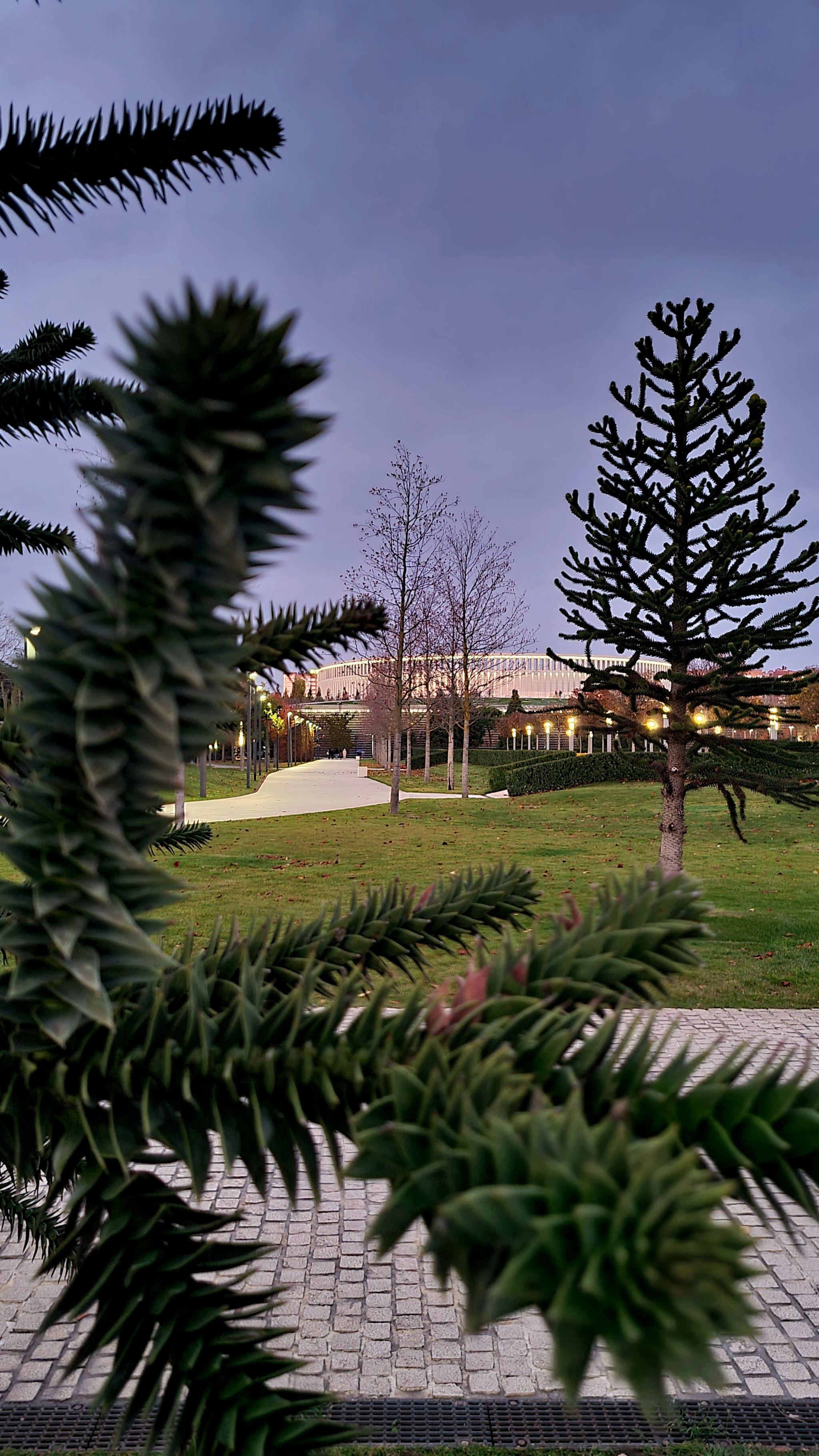 Galician park. Krasnodar - Galitsky Park, The park, Krasnodar, The photo, Evening, Autumn, Longpost