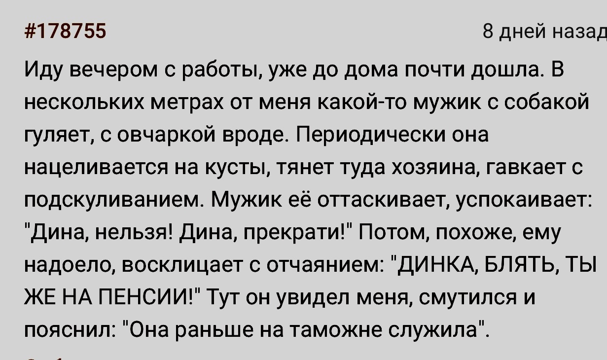 Собачек на пенсии не бывает | Пикабу