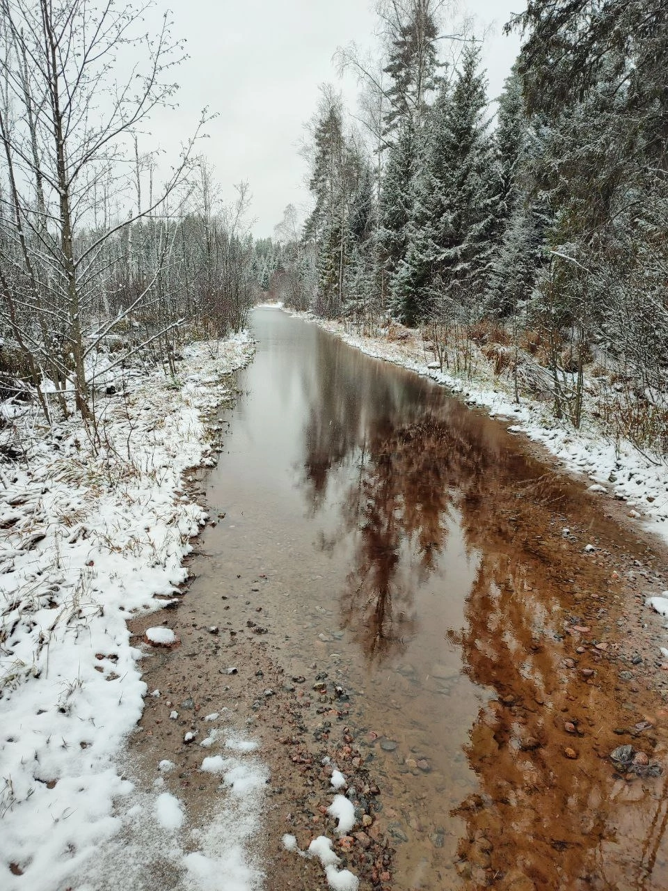 underwater road - My, Travel across Russia, Jungle, Russian roads, Off road, Walk in the woods