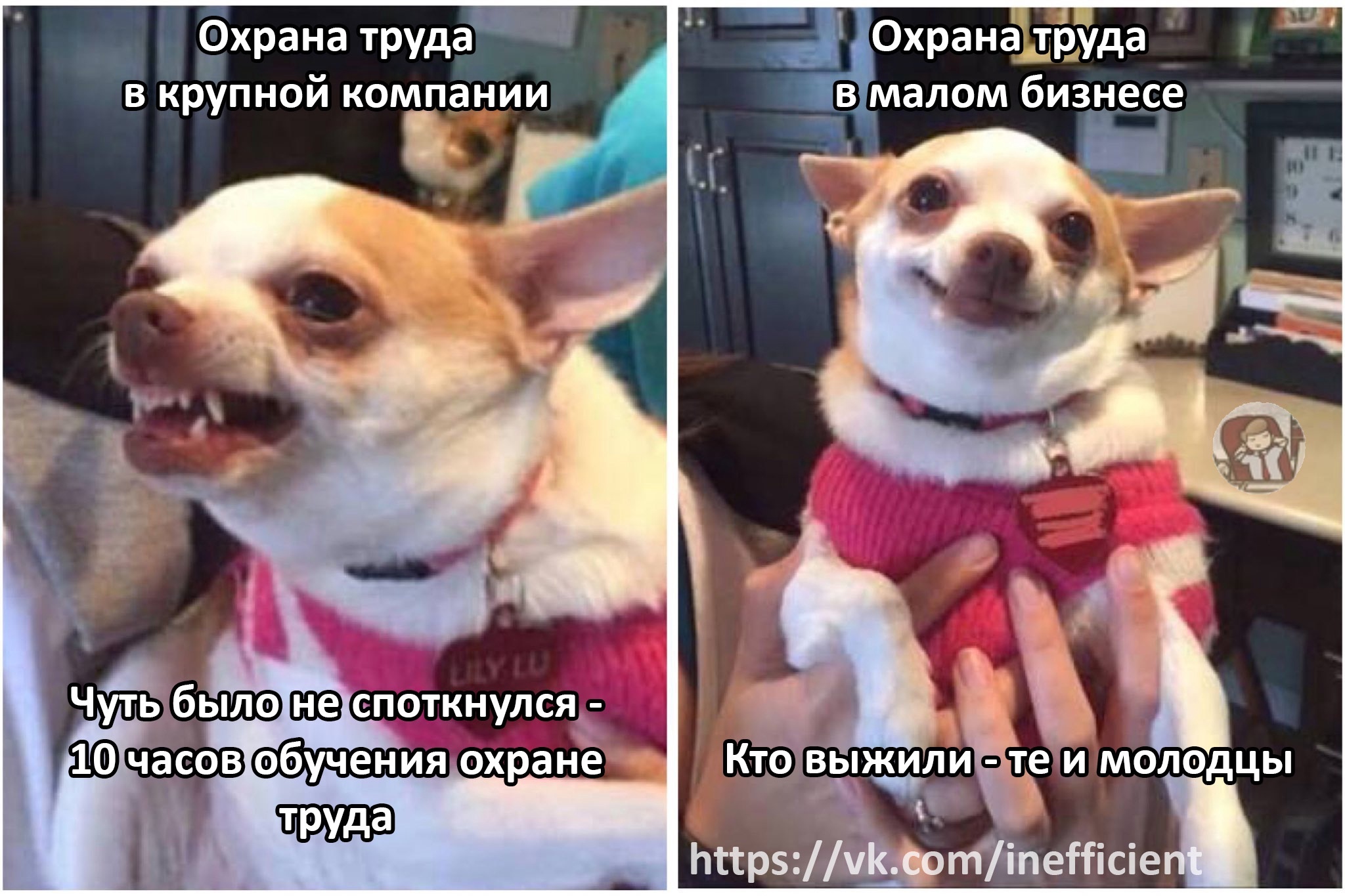 Labor protection in small business - My, Picture with text, Memes, Occupational Safety and Health, Safety engineering, Effective manager, Russian production, Factory, Production, Dog