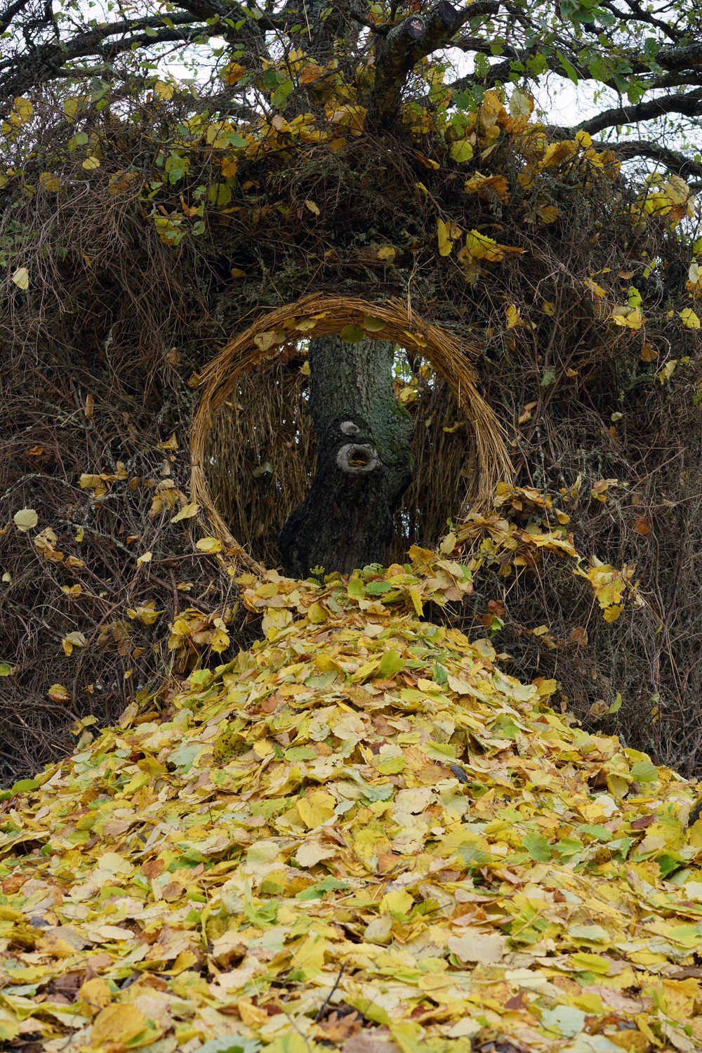 Installation One Tree Four Seasons by Swedish artist Ulf Meijergren and Antti Laitinen - Art, Installation, Longpost, Tree