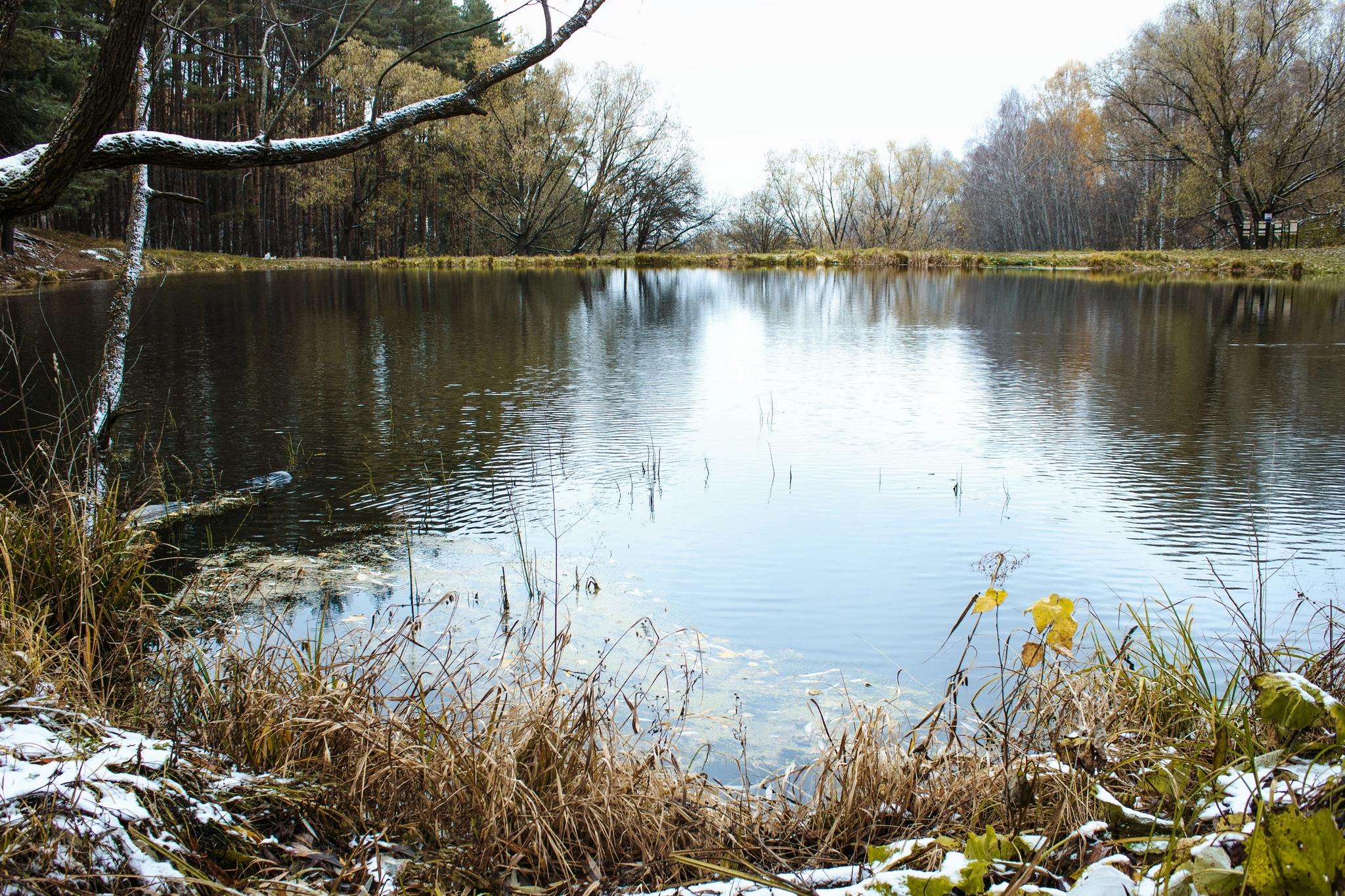 Last autumn landscapes - My, Nature, The photo, Autumn, Landscape, Longpost