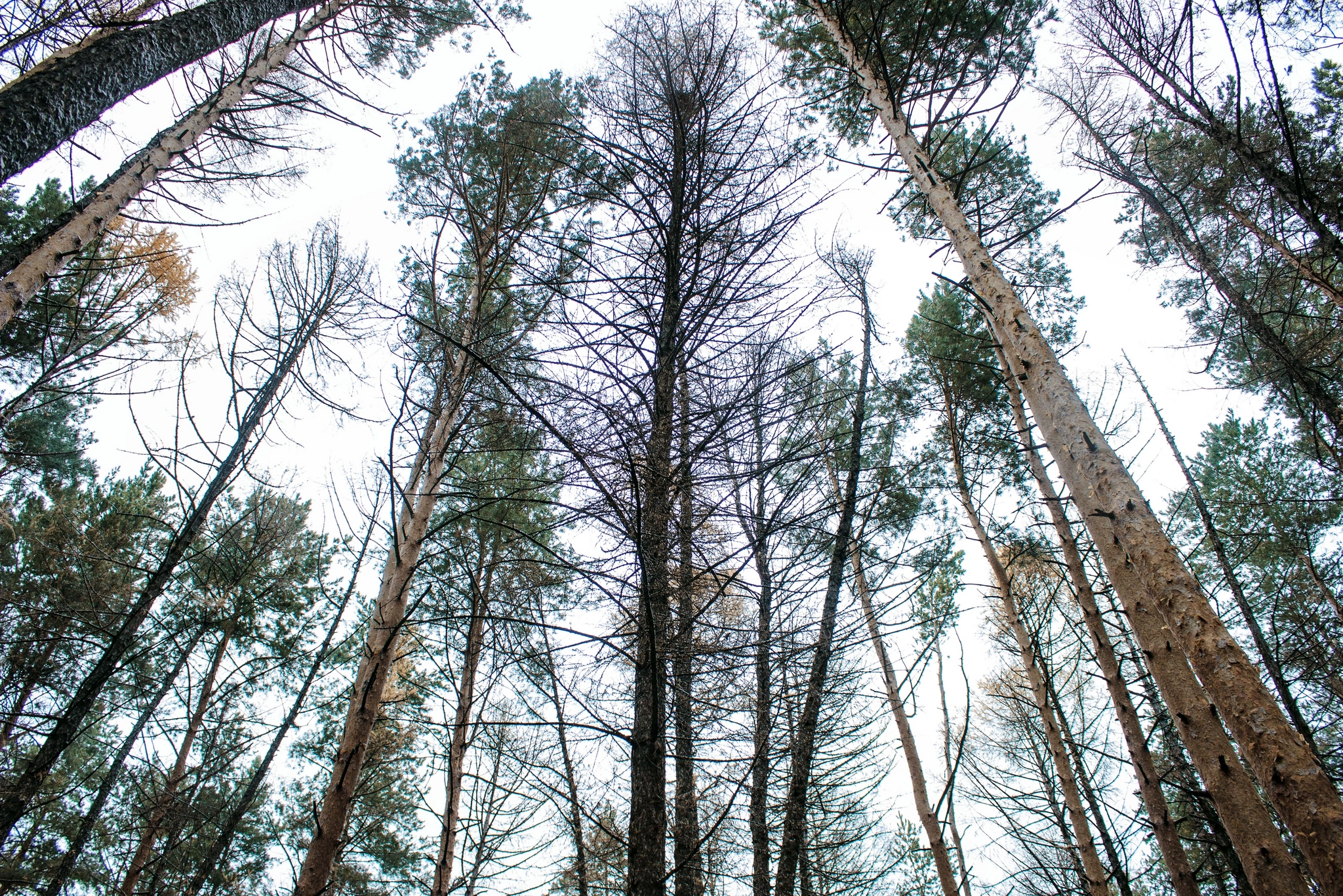 Last autumn landscapes - My, Nature, The photo, Autumn, Landscape, Longpost