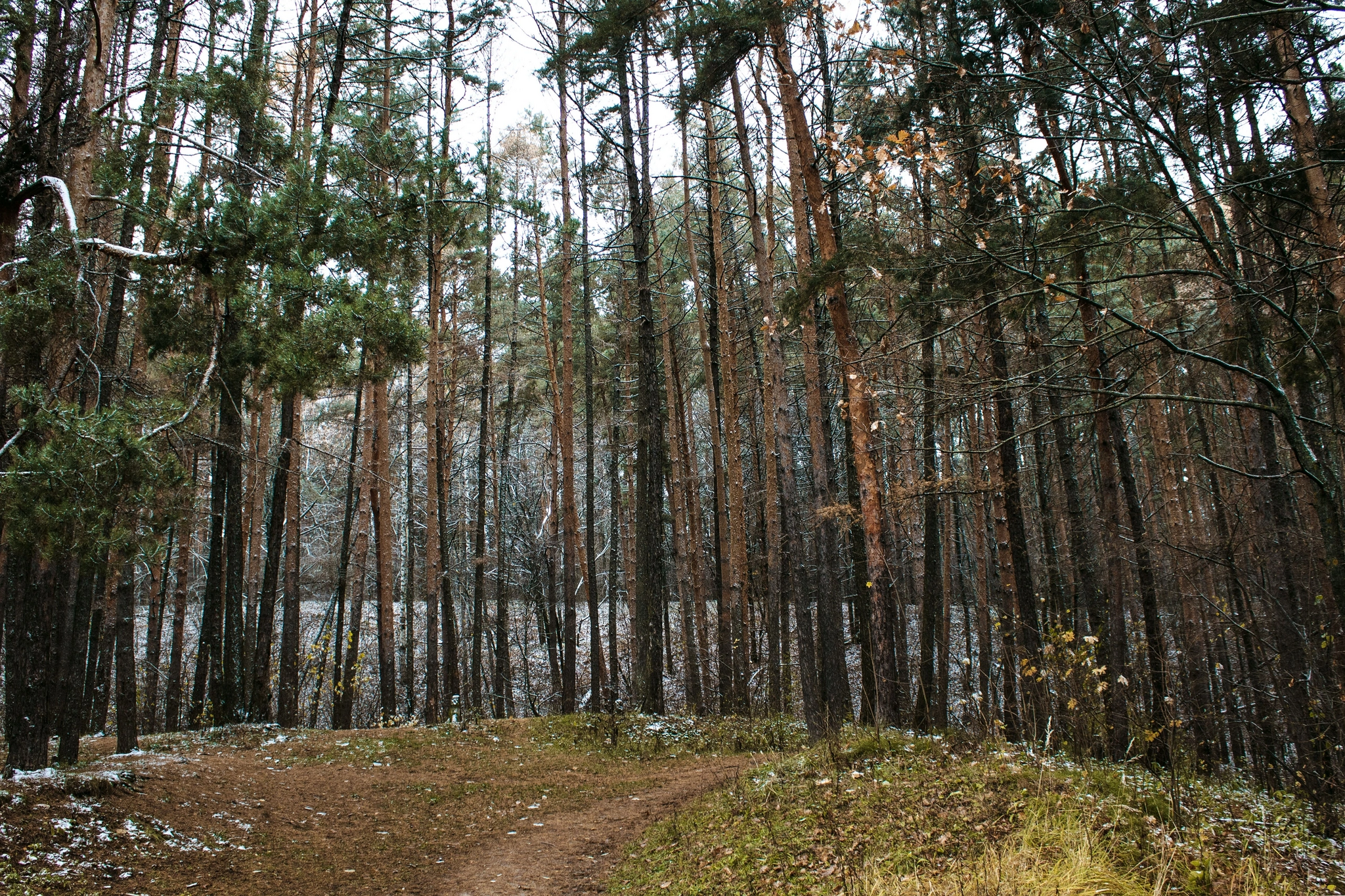 Last autumn landscapes - My, Nature, The photo, Autumn, Landscape, Longpost