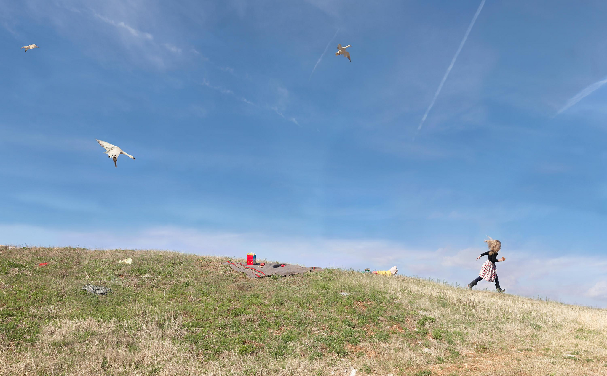 Photos by Julie Blackmon - Photographer, The photo, Medium format, Hasselblad, Longpost