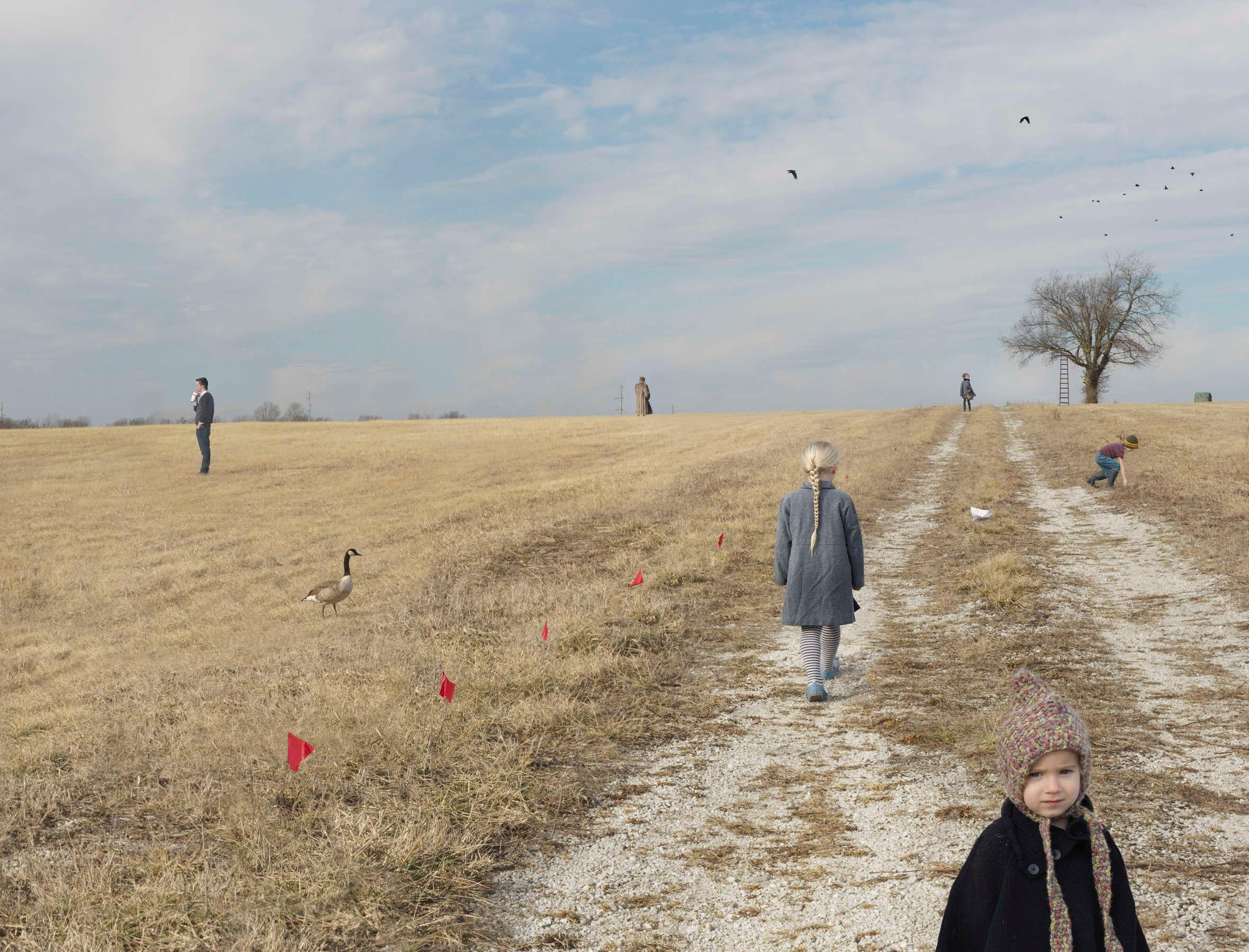 Photos by Julie Blackmon - Photographer, The photo, Medium format, Hasselblad, Longpost