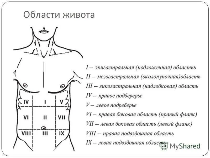 Вызов на котором инфаркт притворился панкреатитом - Врачи, Скорая помощь, История болезни, Яндекс Дзен, Длиннопост