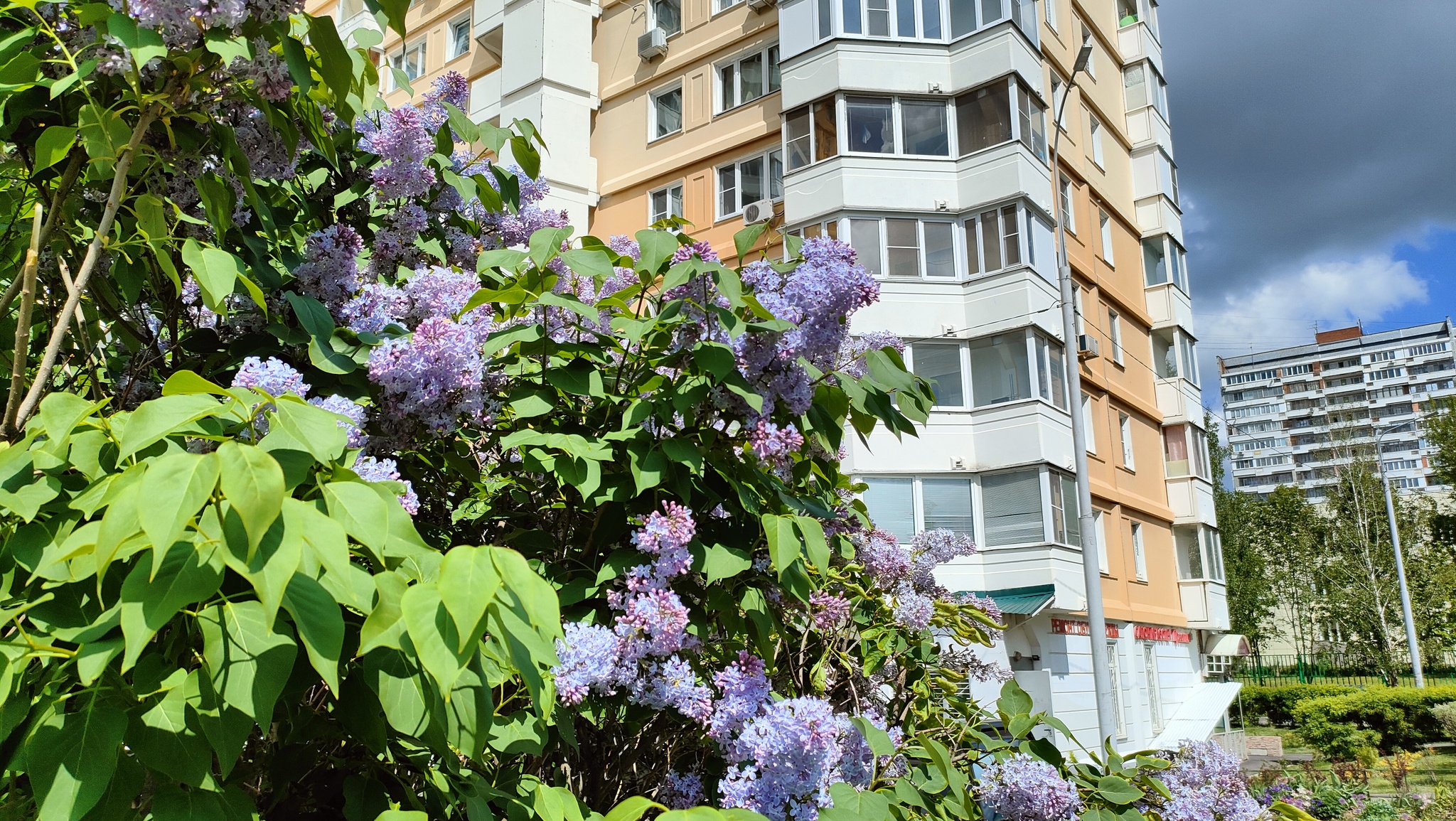 Г. Троицк, Московская область | Пикабу