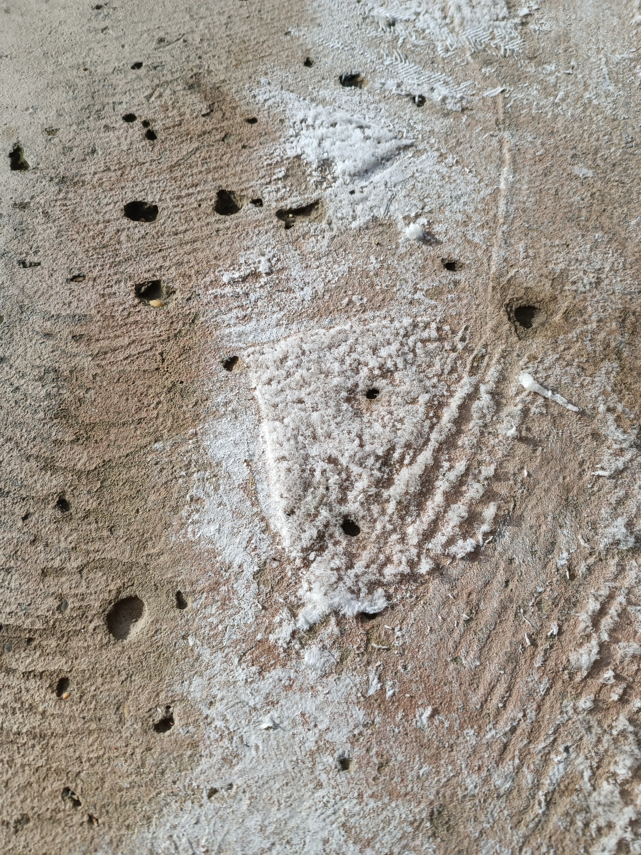 What it is? - My, Salt, Concrete, Screed, Building, Hint, Crystals, Construction, Mushrooms, Mold, What's this?, The photo, Longpost