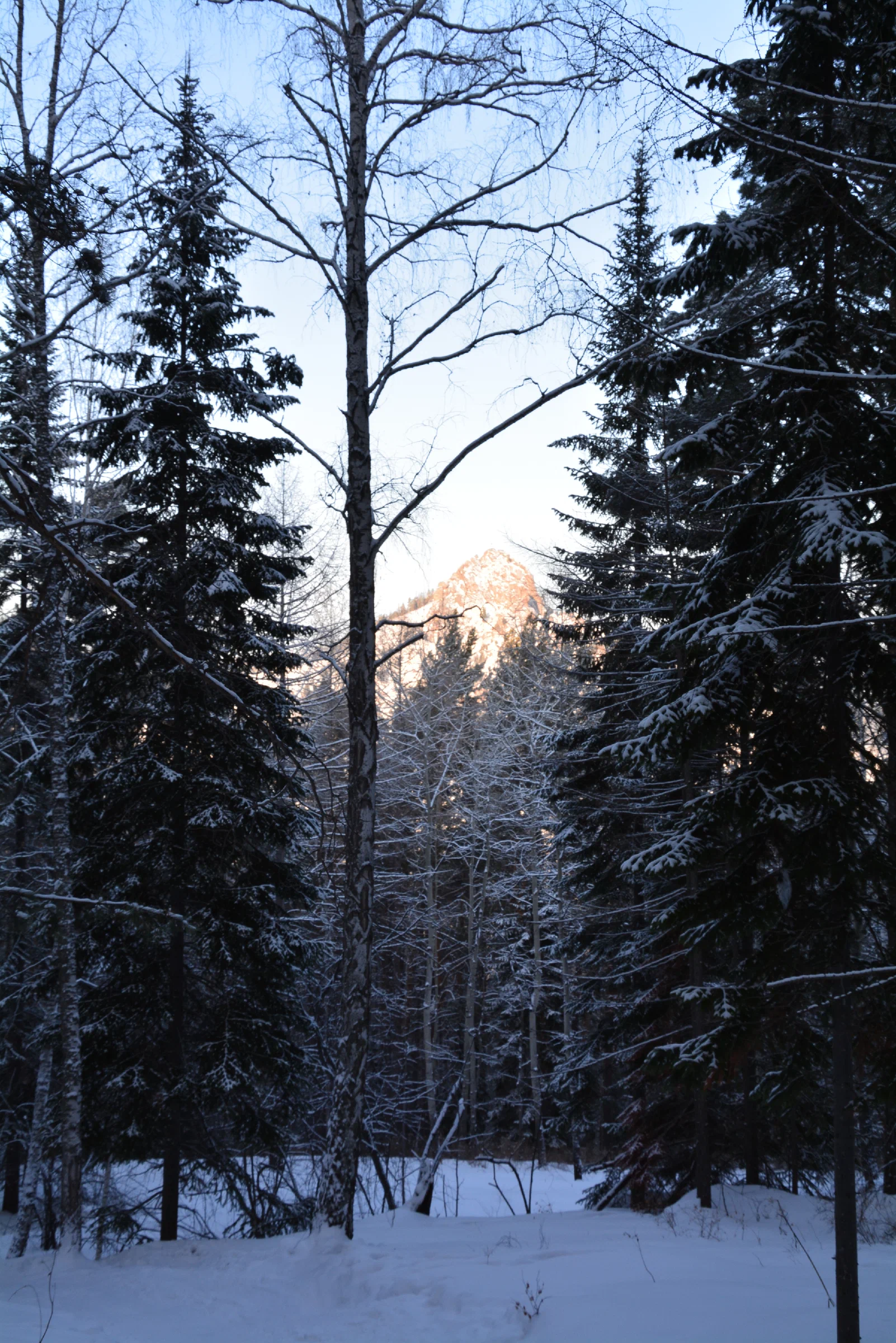 Walk on the Chinese wall. At -30 degrees - My, Siberia, Hike, Krasnoyarsk region, Krasnoyarsk pillars, Pillars reserve, Nature, freezing, Longpost, The rocks