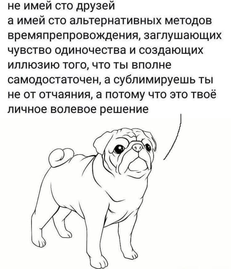 Не имей сто друзей - Картинка с текстом, Мемы, Юмор, Сублимация, Дружба, Иллюзия, Самодостаточность