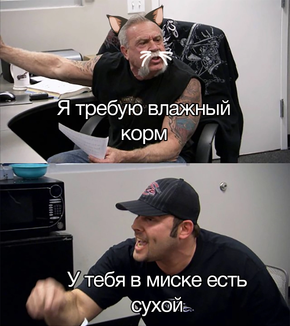 Неси влажный! - Юмор, Картинка с текстом, American chopper, Кот, Мат, Дорого, Длиннопост