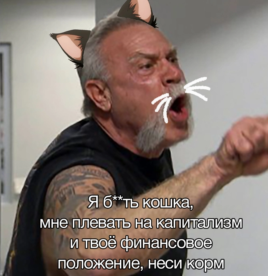 Неси влажный! - Юмор, Картинка с текстом, American chopper, Кот, Мат, Дорого, Длиннопост