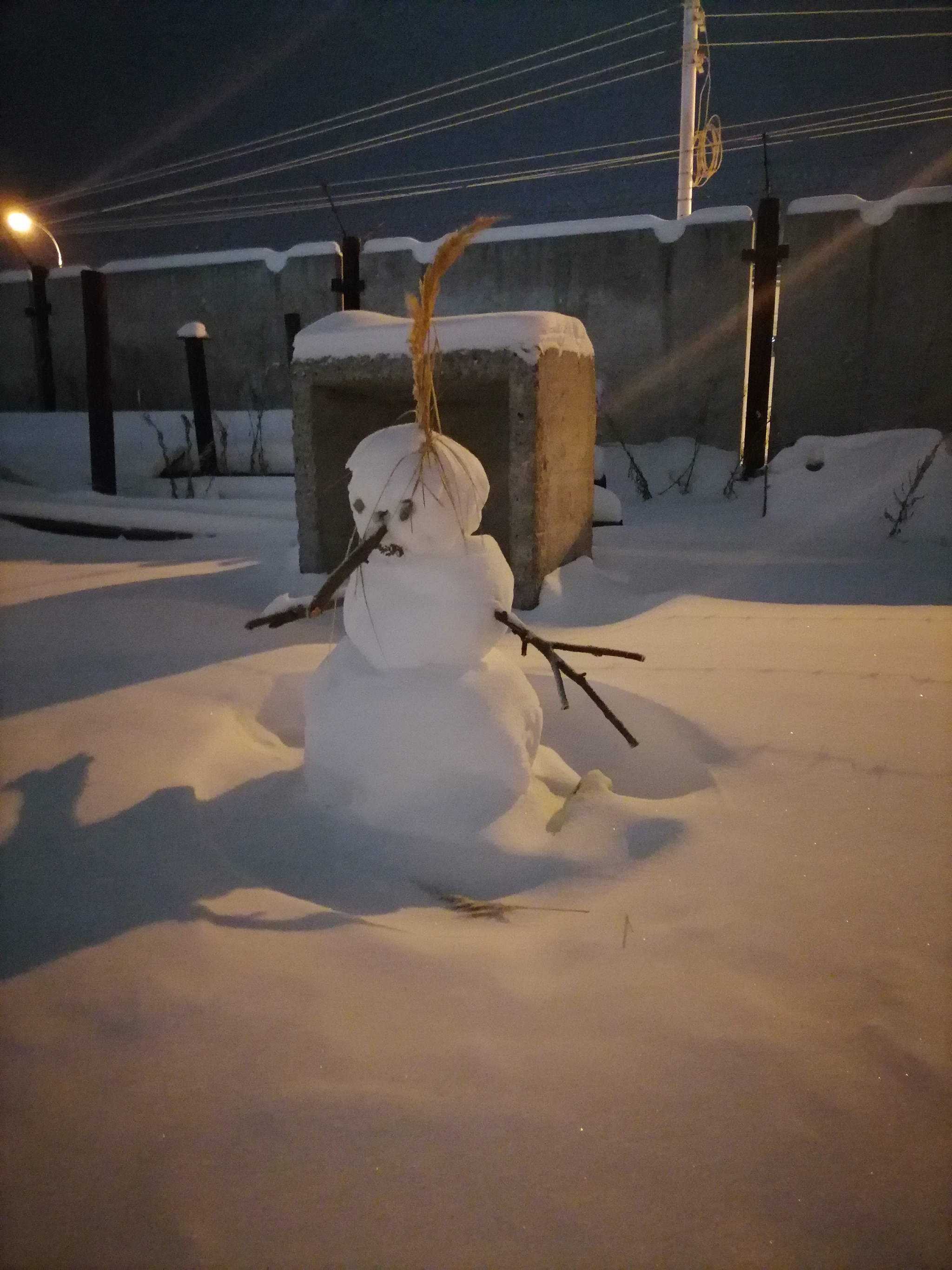 Nose hung - My, Winter, snowman, Longpost, Surgut