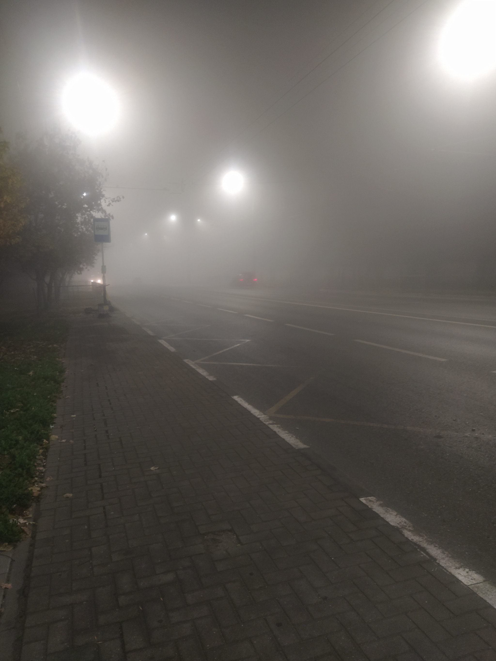 Туман | Пикабу
