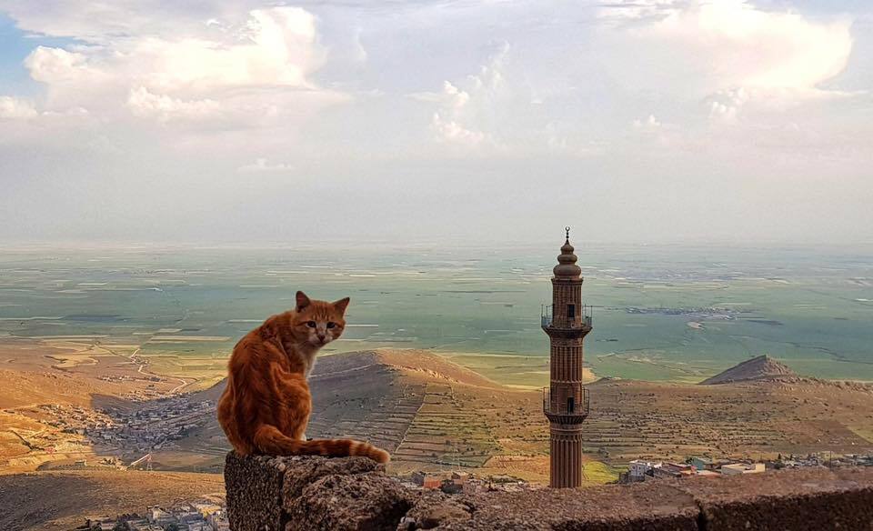 Do you recognize the country from photographs? - My, Redoffroad, Turkey, Kurds, Kurdistan, Travels, Story, Expedition, Road trip, Offroad, 4x4, Tourism, sights, Longpost, The photo