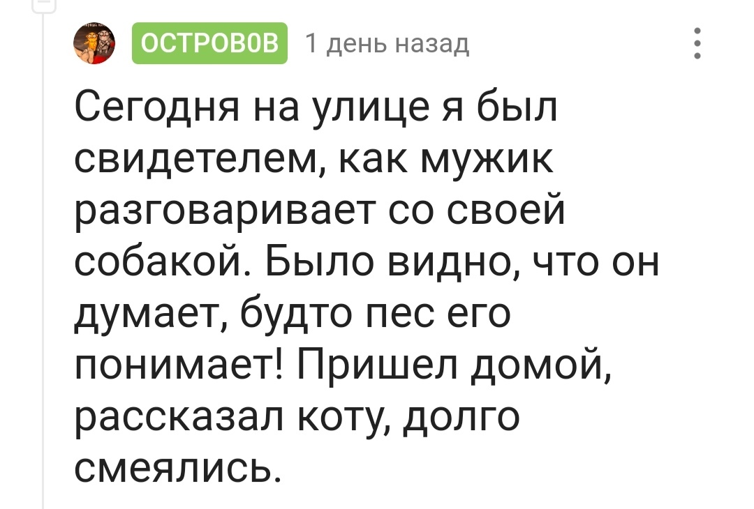 Мой попугай возмущённо сказал : что на ужин? - Комментарии на Пикабу, Животные, Собака, Кот, Скриншот