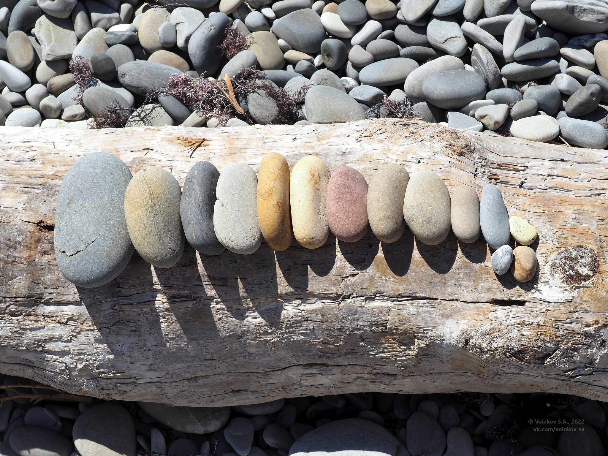 Assortment of beach stones - My, The photo, Olympus OMD em-10 Mark II, Olympus, Anapa, Pebbles, A rock