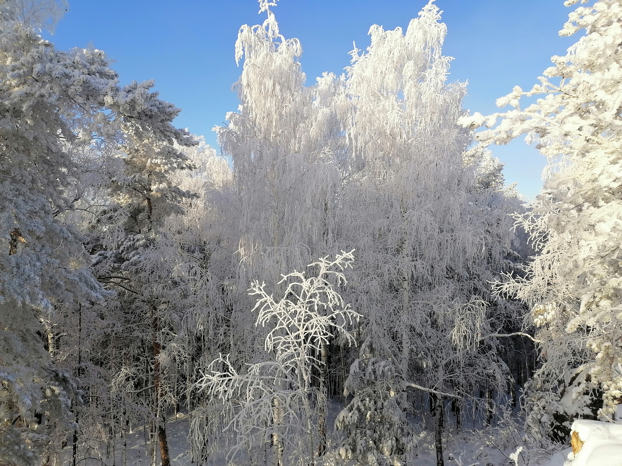 Сказочный зимний лес Урала. Гора Дыроватик - Моё, Лес, Зима, Лесная сказка, Урал, Длиннопост