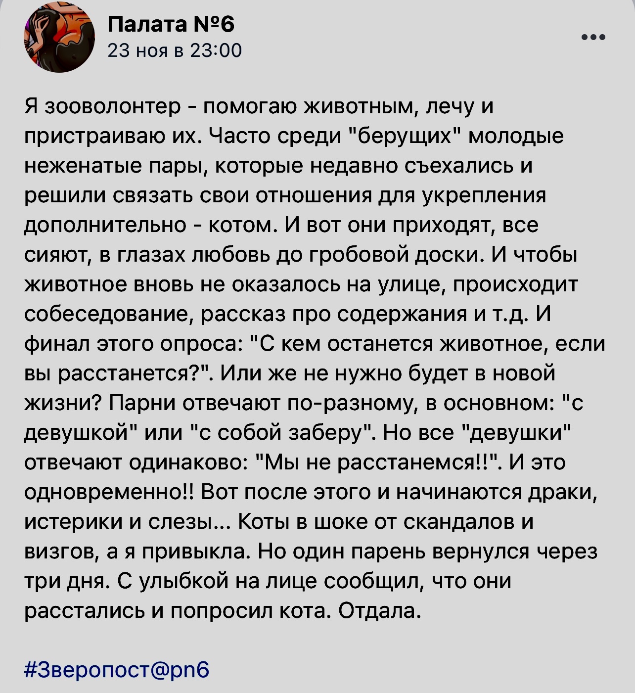 Разное восприятие - Скриншот, Палата №6, Кот