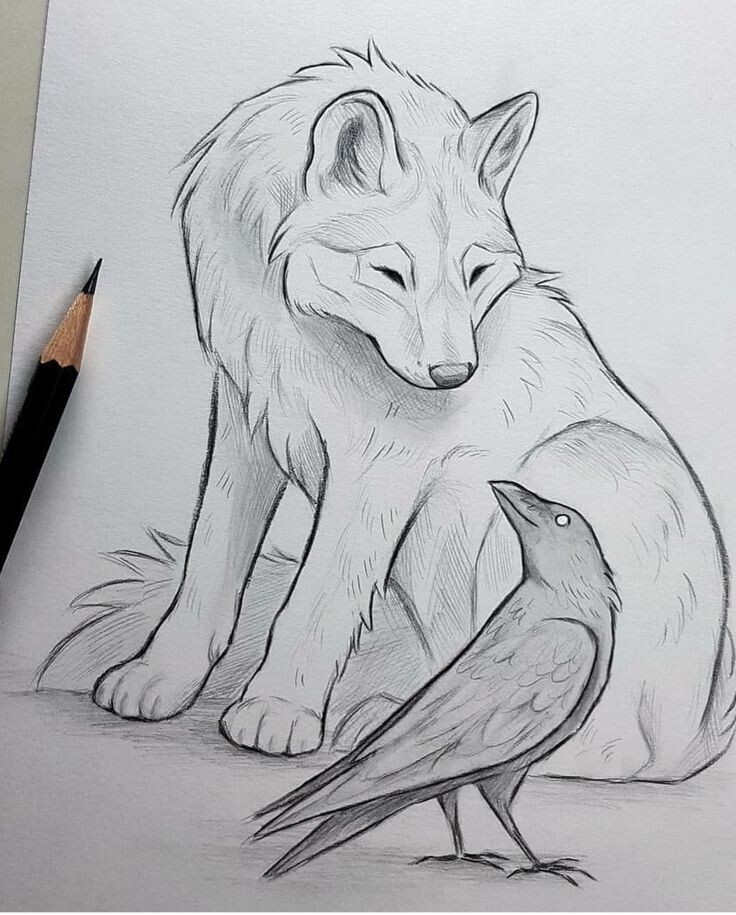 Wolf - My, Artist, Drawing, Longpost, Graphics, Wolf, Animals, Animalistics