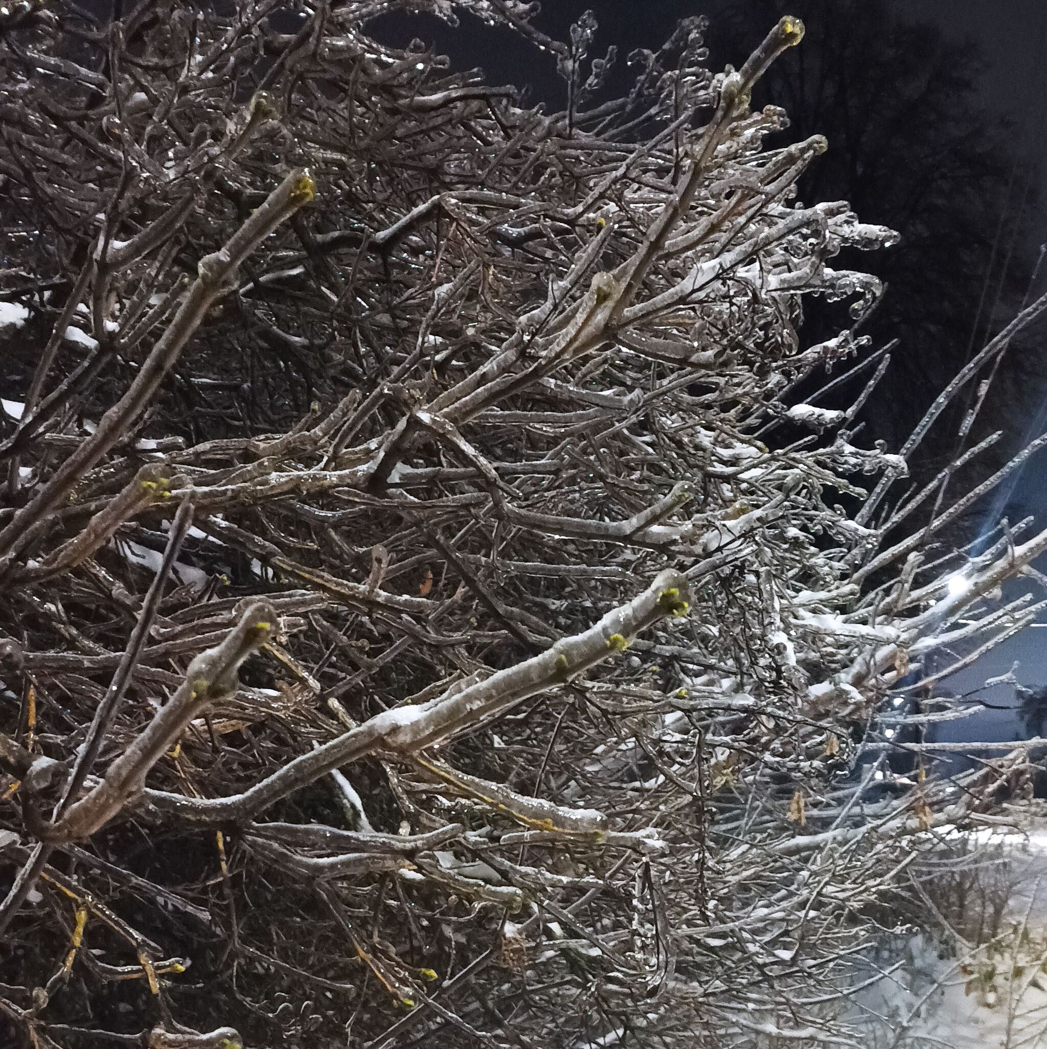 A bit of an icy evening - My, Nizhny Novgorod, Street photography, Ice, Longpost