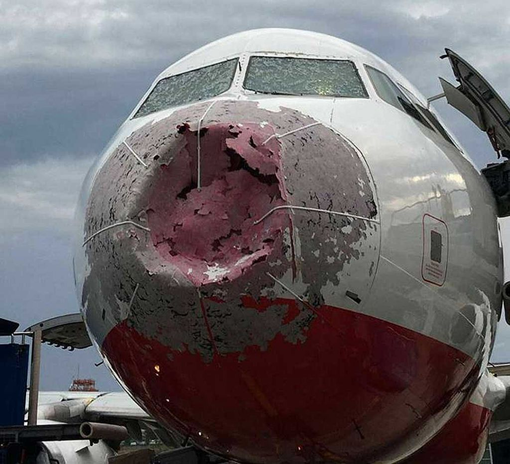 What happens when a bird collides with an airplane? - Airplane, Birds, Aviation, How is it done, Longpost