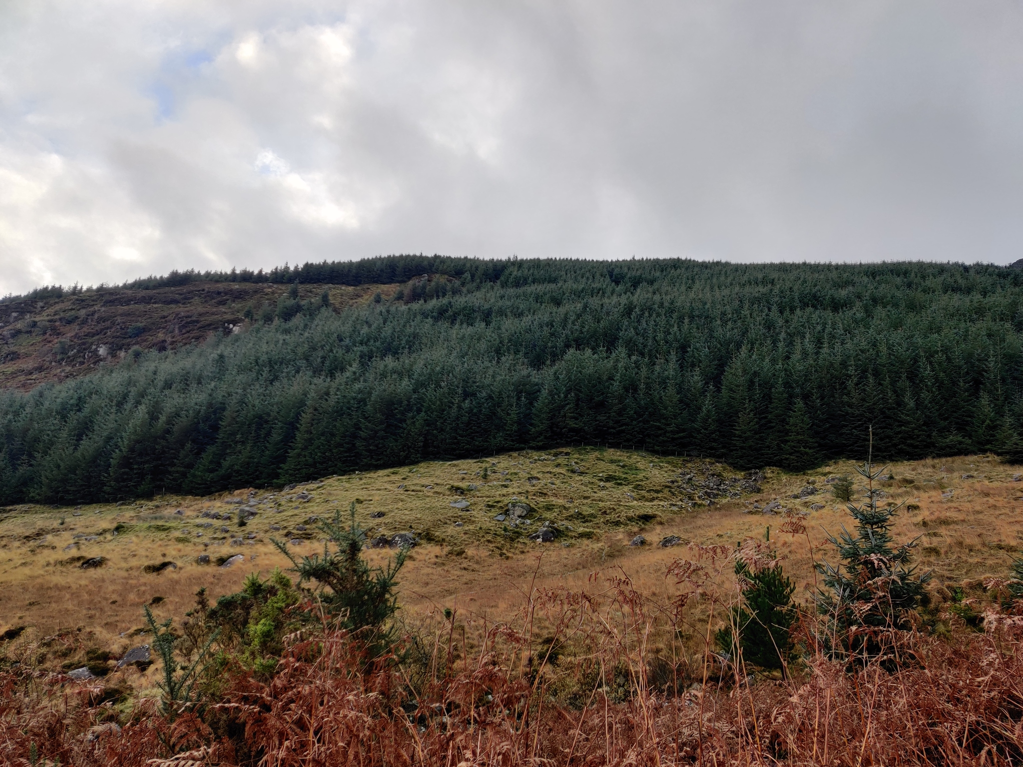 Irish mountains - My, Ireland, The mountains, Waterfall, The rocks, Longpost