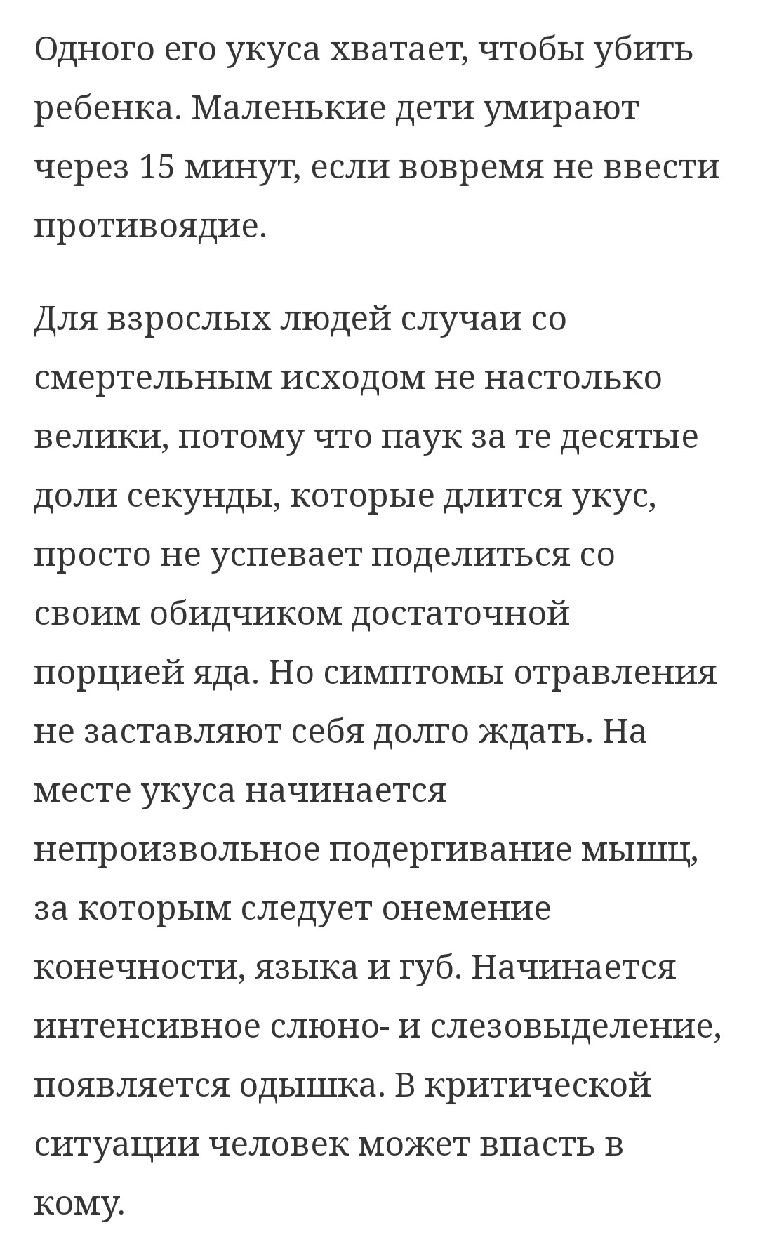 Ужасный паучок: и большой, и очень ядовитый, и паутину плетет | Пикабу