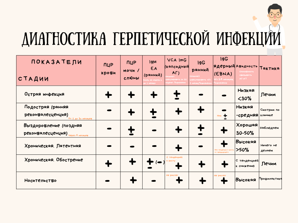 Картина крови при эпштейн барра