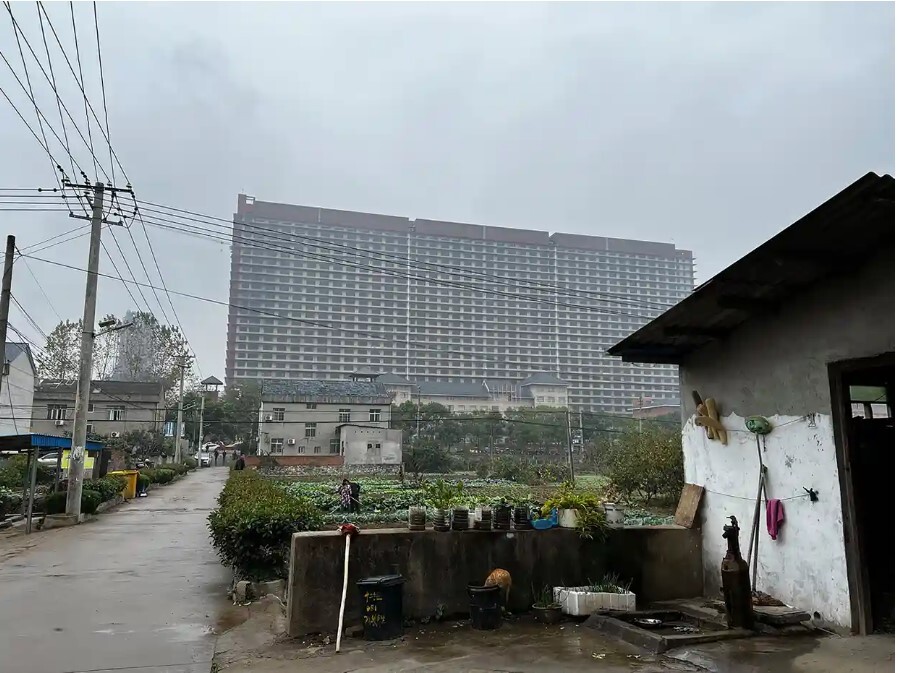 26-story pigsty launched in China - China, Pig, Livestock breeding, Сельское хозяйство, Pig, GIF, Longpost