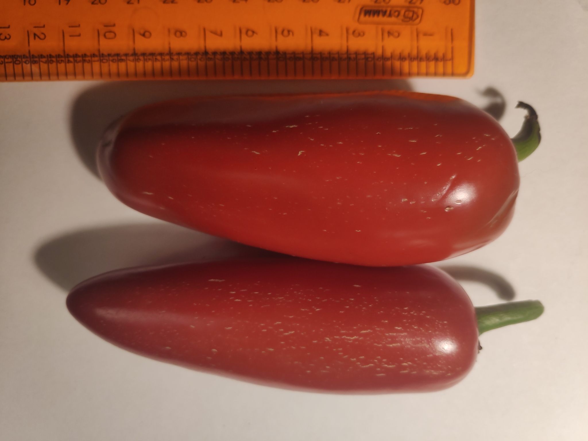 Please help me identify the variety of hot pepper - My, Hot peppers, Variety, Help, Longpost