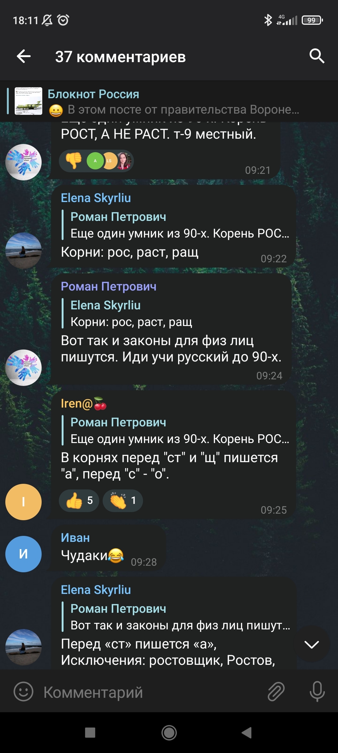 Я все ещё надеюсь, что он просто тролль - Моё, Скриншот, Спор, Длиннопост, Переписка, Грамматика