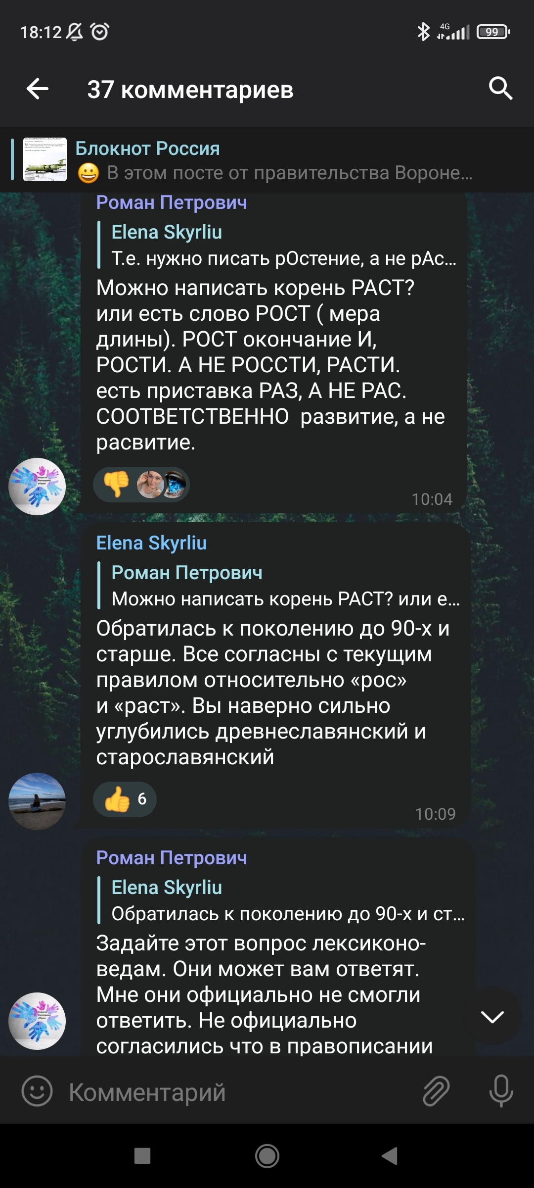 Я все ещё надеюсь, что он просто тролль - Моё, Скриншот, Спор, Длиннопост, Переписка, Грамматика