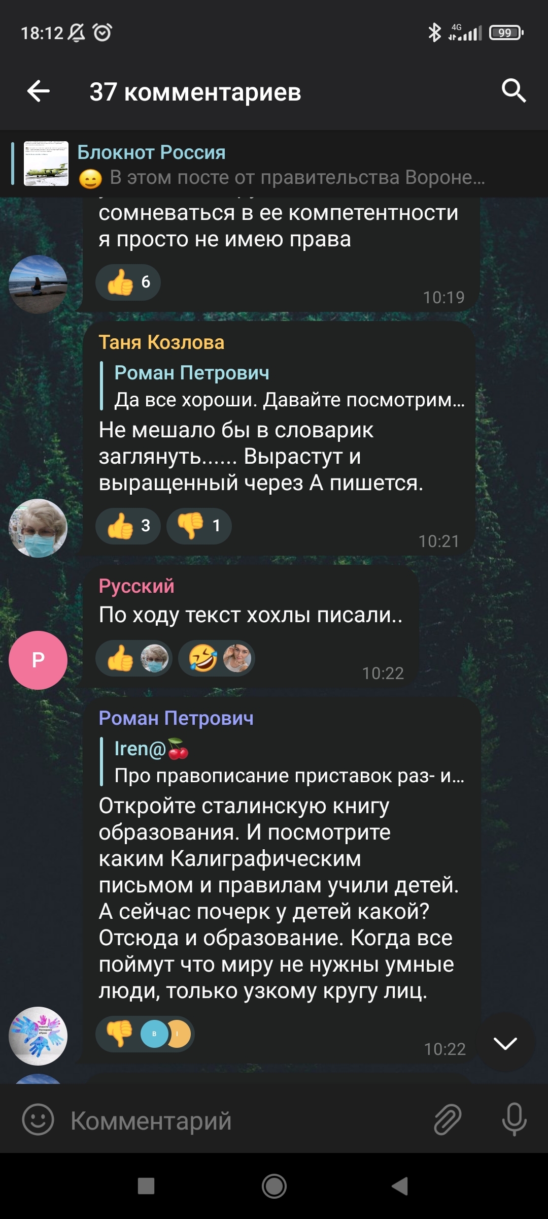 Я все ещё надеюсь, что он просто тролль - Моё, Скриншот, Спор, Длиннопост, Переписка, Грамматика