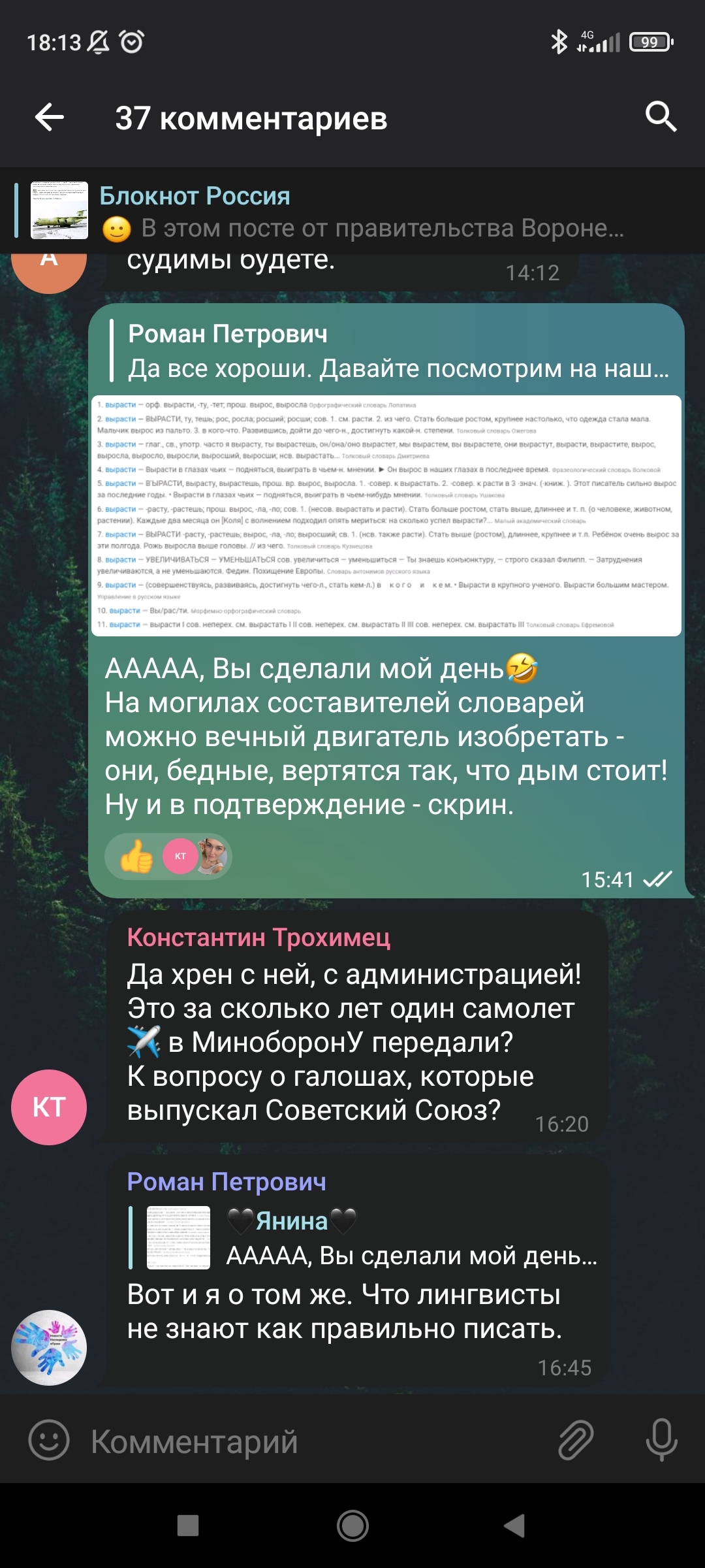 Я все ещё надеюсь, что он просто тролль - Моё, Скриншот, Спор, Длиннопост, Переписка, Грамматика