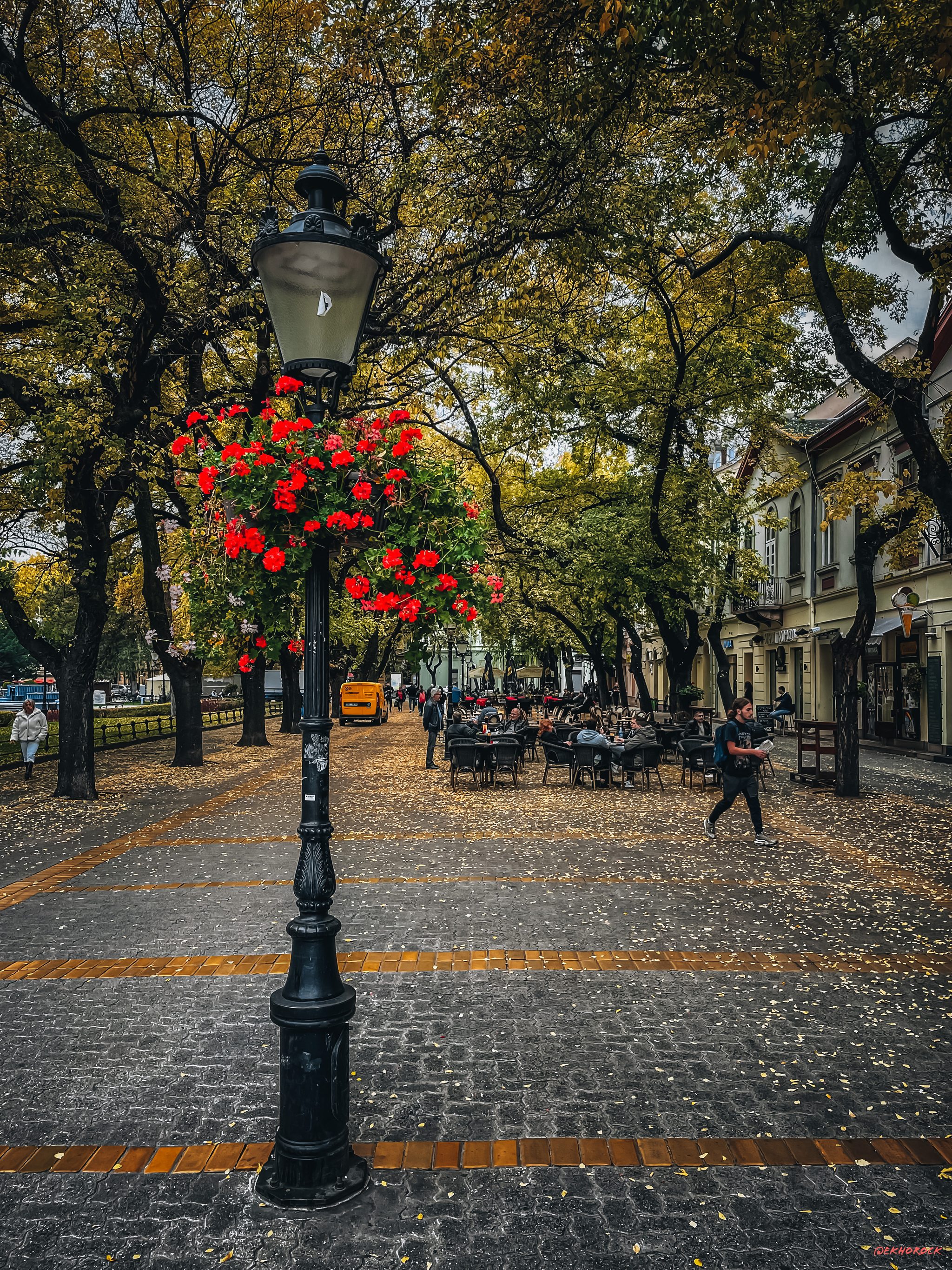 День, улица, фонарь, кафешка - Моё, Осень, Улица, Фонарь, Цветы, Кафе, Город, Сербия, Мобильная фотография, Суботица