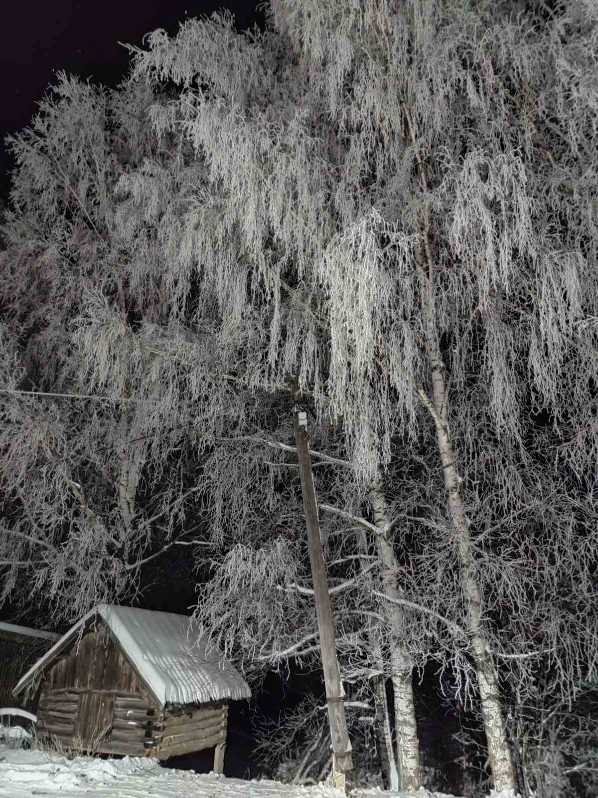 Just beautiful - My, The photo, Winter, Forest, Village, Longpost