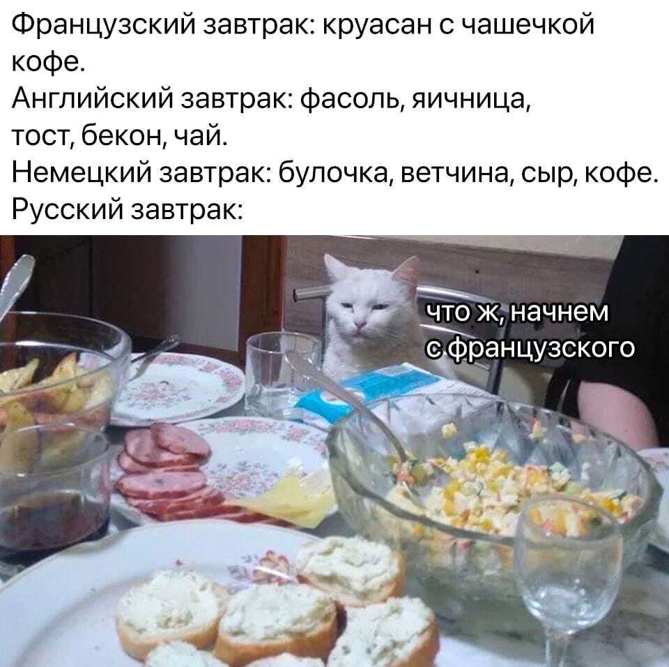 Breakfast after the New Year - Humor, Picture with text, cat, Food, Russians