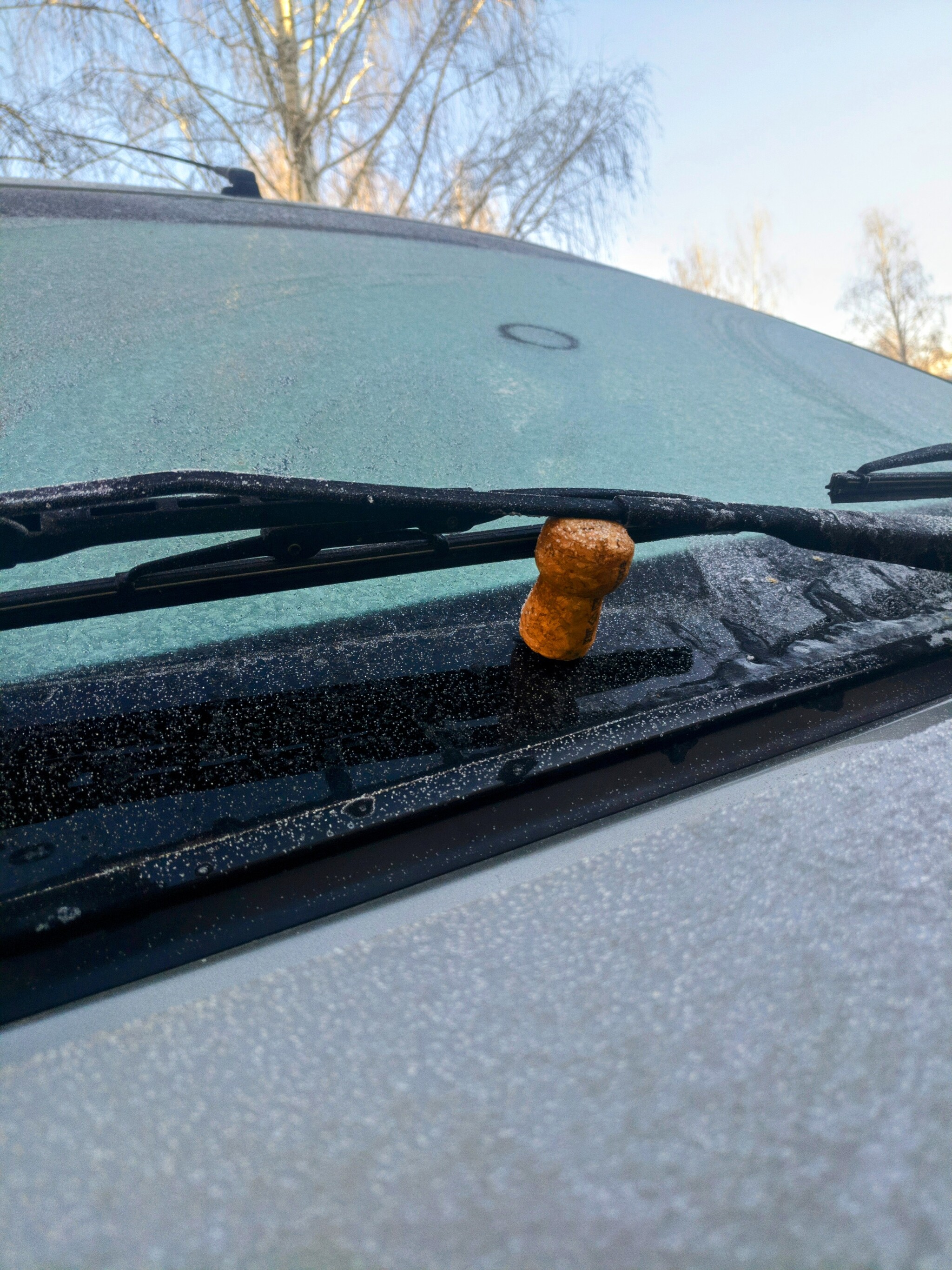 Life hack peeped at a neighbor - My, Auto, Life hack, Wiper