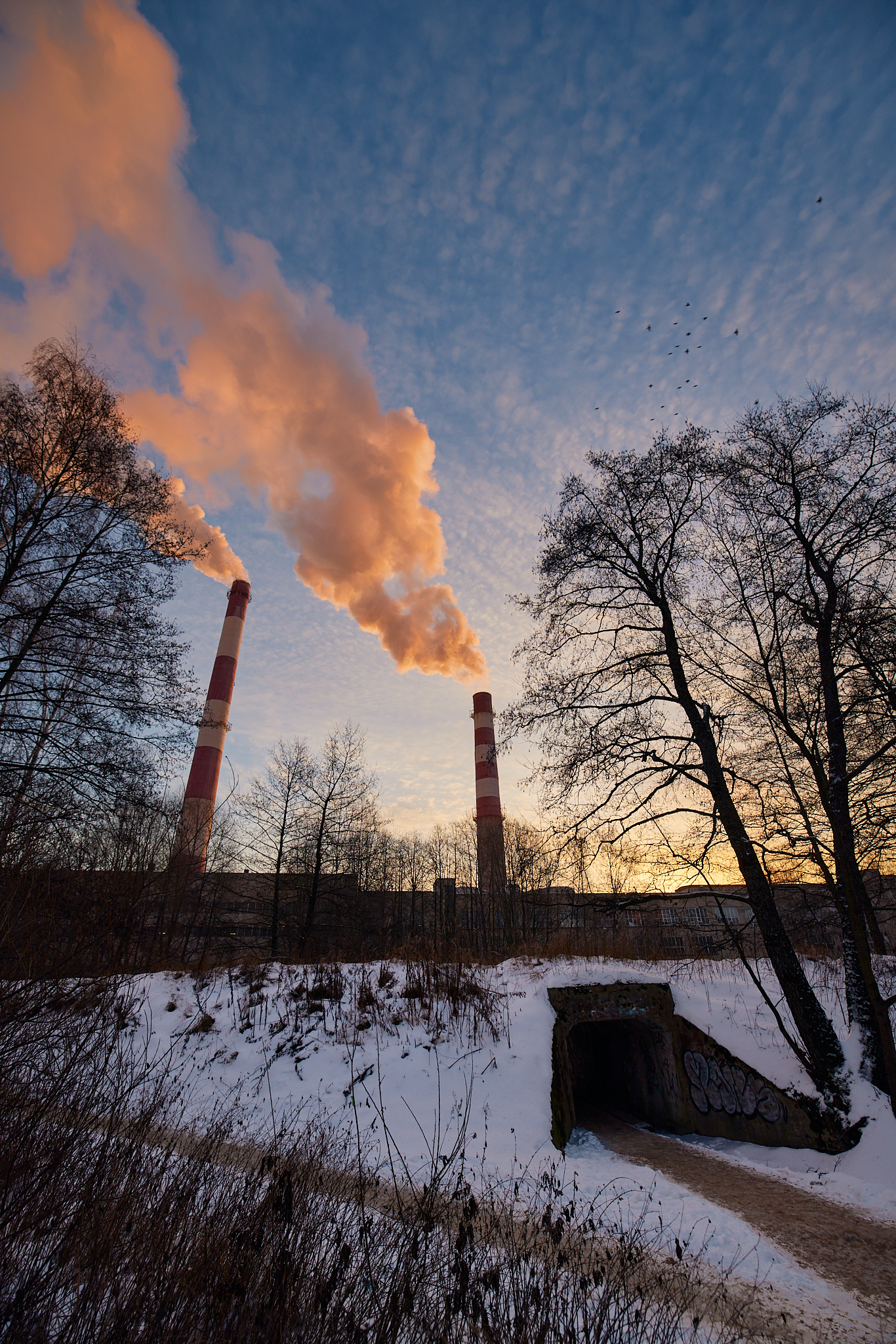 Boiler room at dawn - My, The photo, Boiler room, Obninsk, Morning, Winter, Sky, Longpost