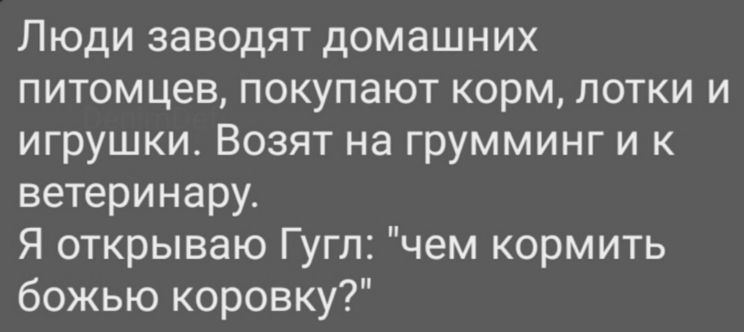 Уровень ответственности - Забота, Домашние животные, Домик для питомца, Жизненно, Ответственность