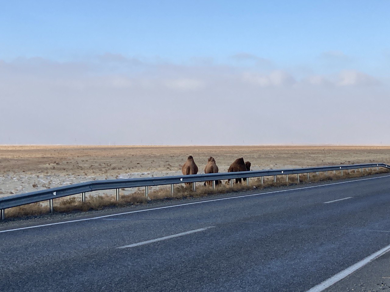 Aralsk - Aktobe - My, Kazakhstan, Aktobe, Aralsk, Camels, Parking, Traffic police, Traffic cop, Travels, Longpost