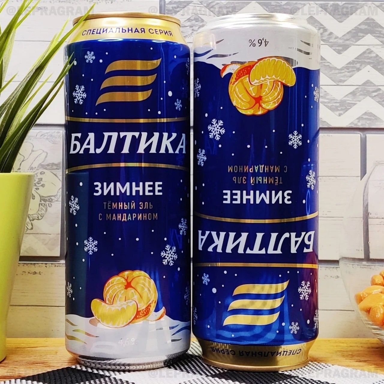 New Year's beer with tangerines - Humor, New Year, Beer, Alcohol, Tangerines