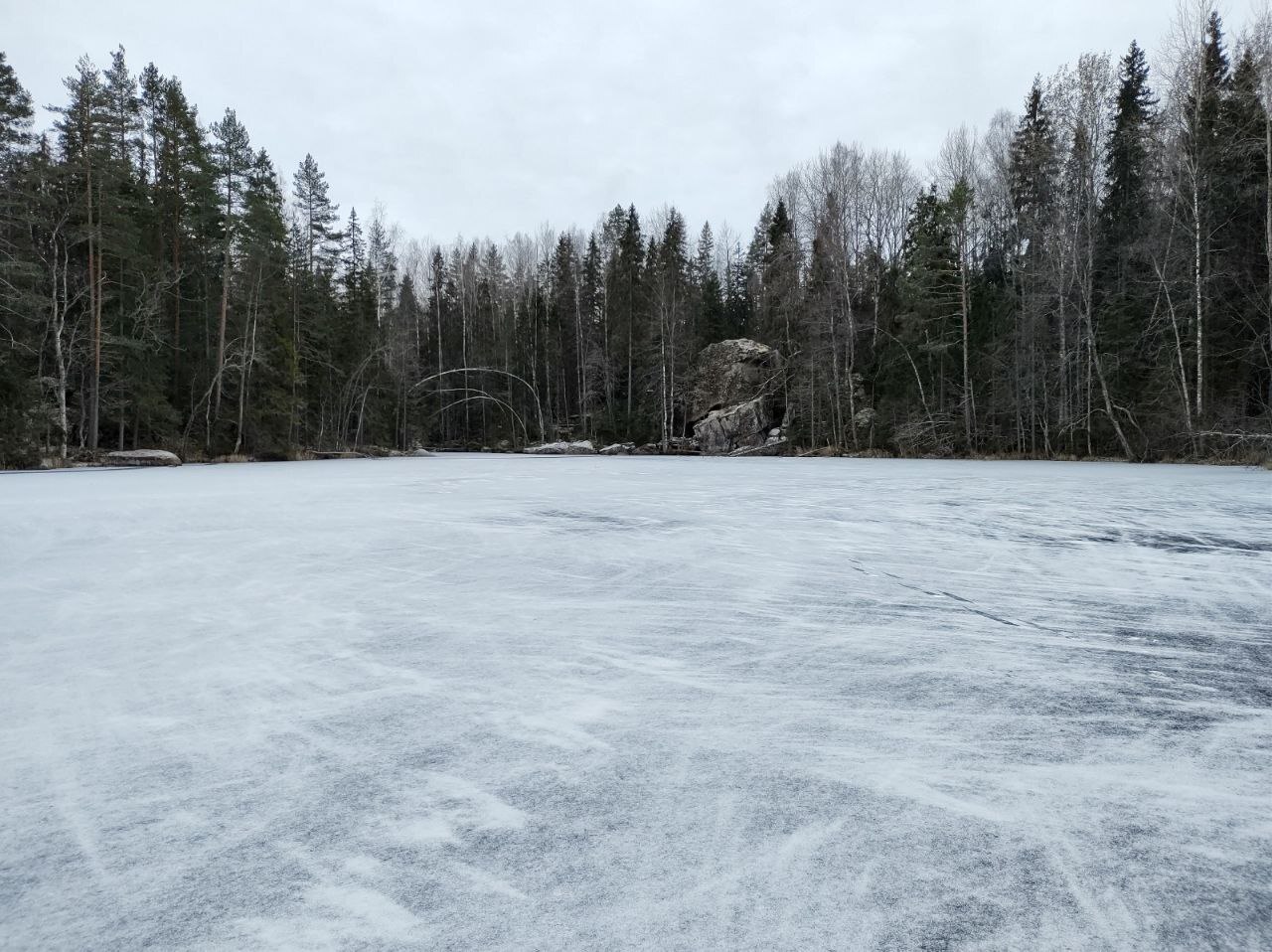 Winter - My, Saint Petersburg, Forest, Vyborg, Leningrad region, Lake, Winter, Ice, Moss, Mobile photography, Photo on sneaker, Boulder, Longpost