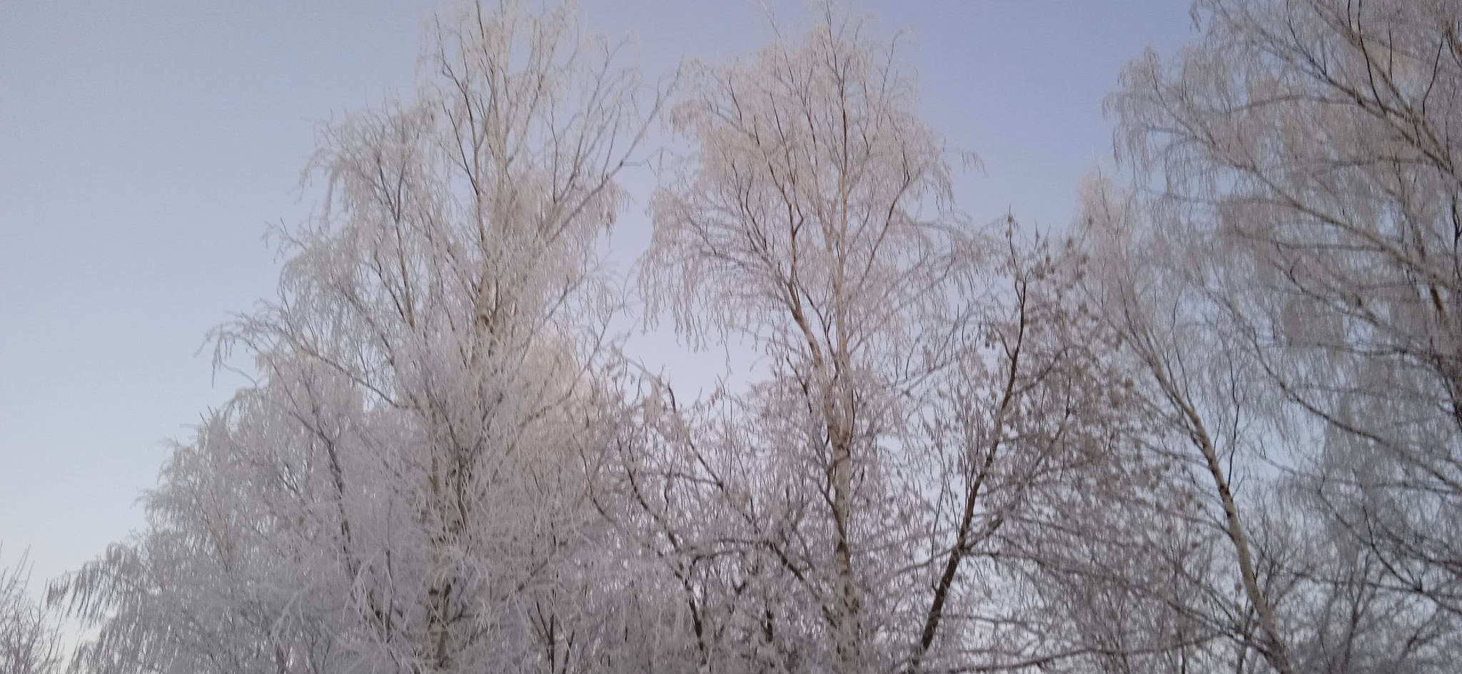 More frost - The photo, Snow, freezing, beauty